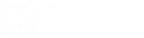 Z STAR SERIES Stacked logo_white