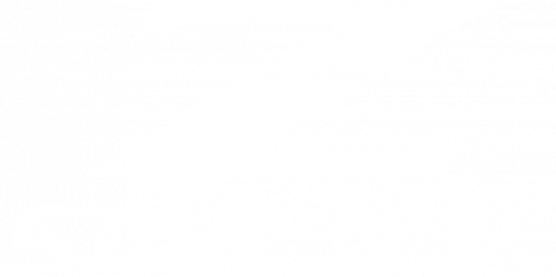 Z-STAR XV stacked white logo