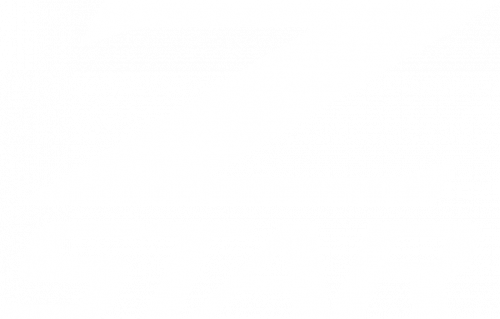 Z-STAR stacked white logo